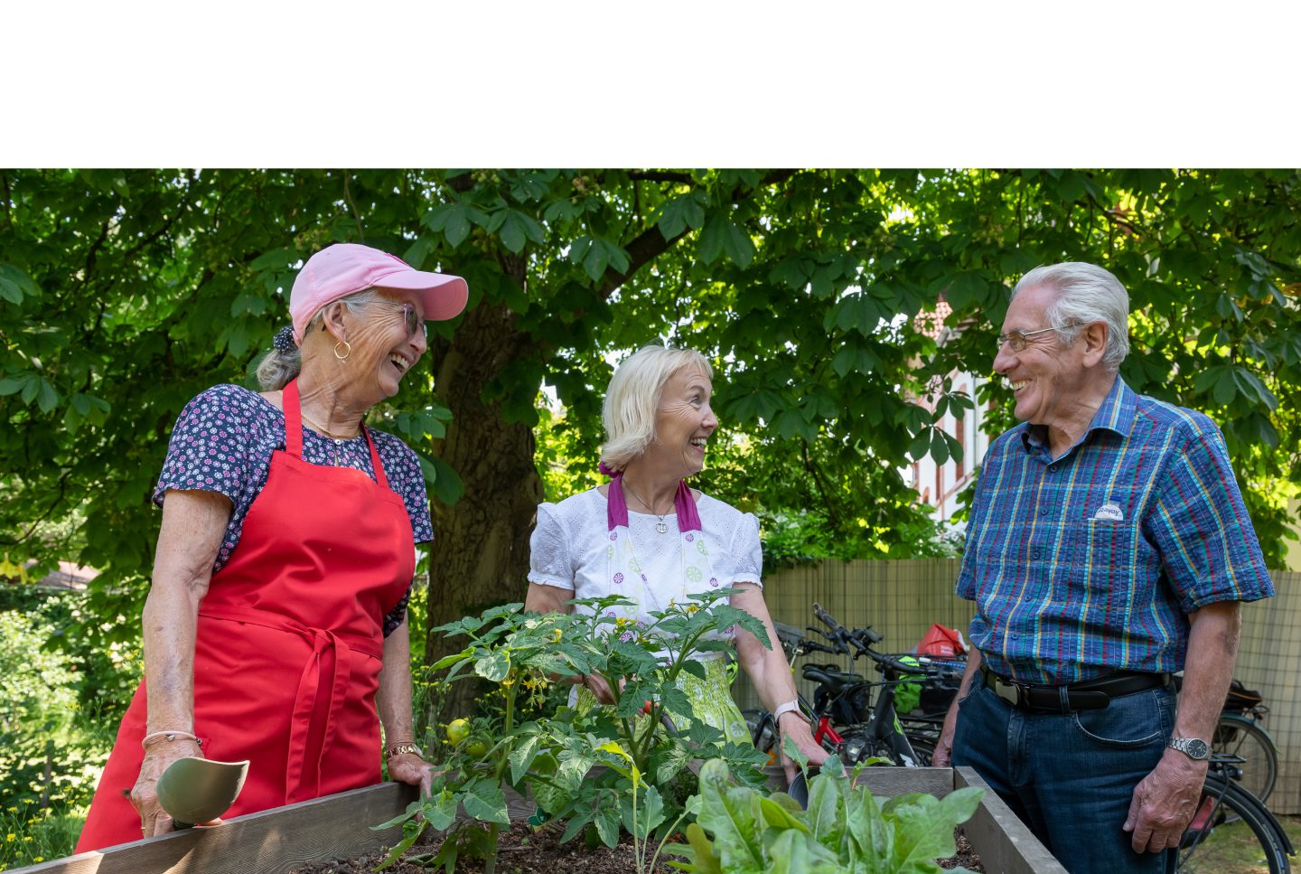 Zwei Damen und ein Herr erfreuen sich an einem Gemüsebeet